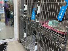 -北京观赏动物医院·24小时大型综合·猫专科·异宠专科