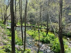 -玉渡山自然风景区