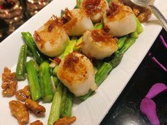XO醬琥珀核桃炒带子-北京四季酒店·采逸轩