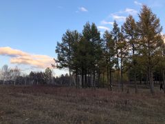 -塞罕坝国家级自然保护区