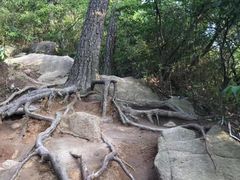 -灵岩山风景区