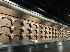 -大庆市博物馆