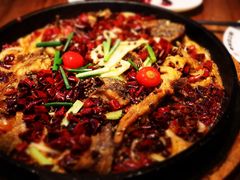 -老板恋上鱼(恒隆广场店)