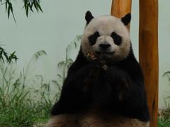 -青岛动物园