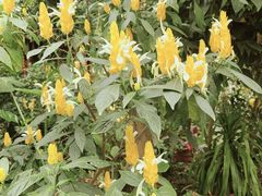-陈记生蚝烧烤炒菜火锅
