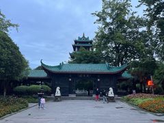 -桂湖森林公园