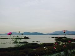 -太湖好灶头土菜馆(石公路店)