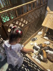 -酷嗒动物文化乐园(cutezoo西溪乐天城店)