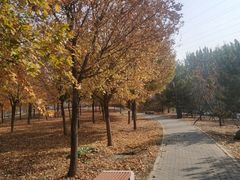-东郊湿地公园
