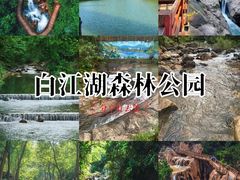 -广州白江湖森林公园