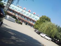 -东方巨龟苑景区