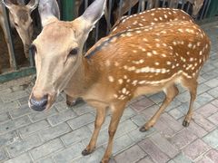 -中华郡文化旅游景区