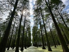 -渌洋湖湿地公园