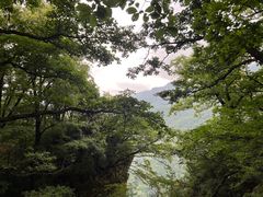 -牛背梁国家森林公园