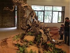 -自贡恐龙博物馆