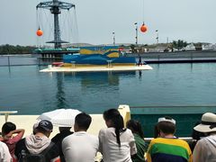 -秦皇岛乐岛海洋王国