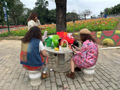 -松山湖南湖湾露营营地