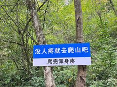 -鹿院坪生态旅游景区