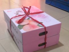 -老袁家蜜桃农场·阳山水蜜桃