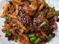 -龙翔山庄雷鸡肉(青城后山泰安古镇店)