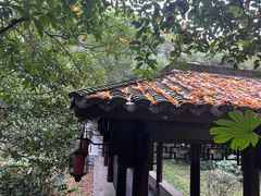 -杭州半山国家森林公园