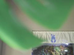 -小意思咖啡店(草桥店)