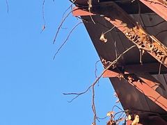 -闫府私房菜·老字号(恒隆店)