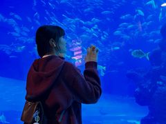 -成都浩海立方海洋公园