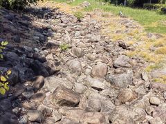 -白塘生态植物园