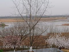 -西安浐灞国家湿地公园