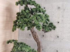 -喜茶(北京五棵松华熙店)