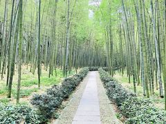 -大奇山国家森林公园