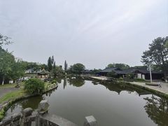 -江心屿景区