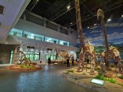 -自贡恐龙博物馆