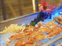 -豪派特华美达广场酒店·西餐厅
