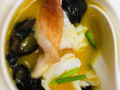 -新光酒家·河豚·海鲜·蟹料理(浦东店)