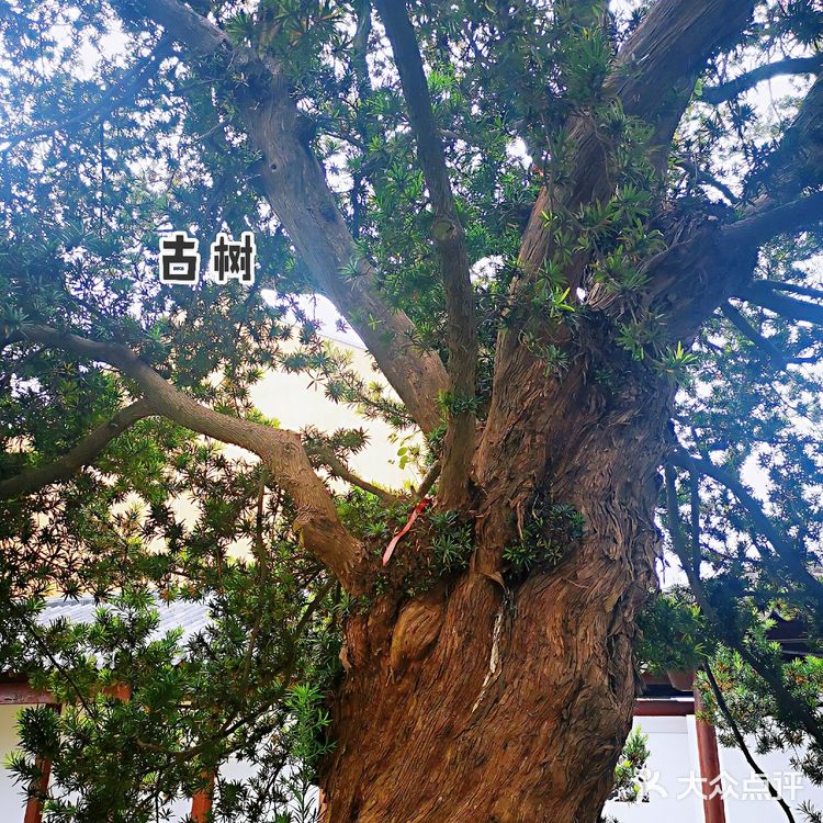 中国民间博物馆之乡 | | 锦溪古镇