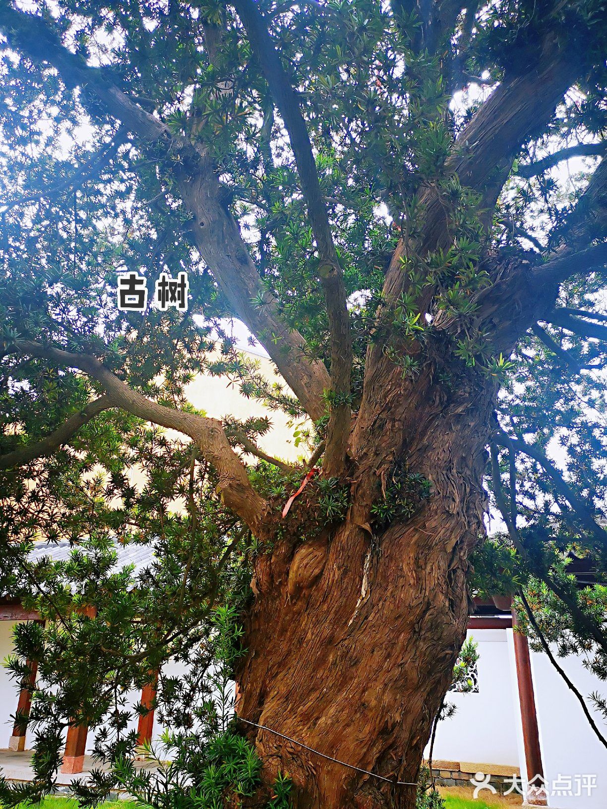 中国民间博物馆之乡 | | 锦溪古镇