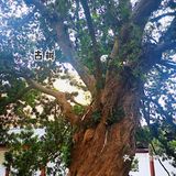 中国民间博物馆之乡 | | 锦溪古镇