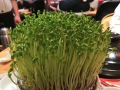 -好彩猪肚鸡(正弘城店)