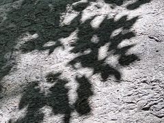 -灵溪风景区