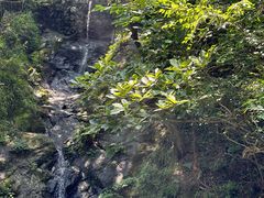 -宁波市保国寺古建筑博物馆