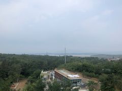-欢乐松鼠谷