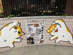 -有喵·猫咖·狗咖·30几只猫10只小狗(岗厦店)