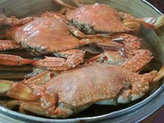 -台山美食一绝阿四台山黄鳝饭(阿四创作店)