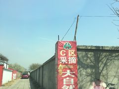 -大自然农场蔬菜草莓采摘园