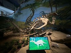 -自贡恐龙博物馆