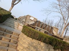 -郑东新区湿地公园