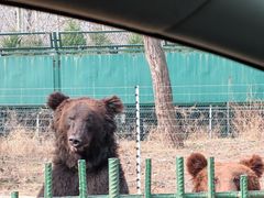 -秦皇岛野生动物园