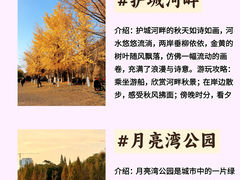-习家池